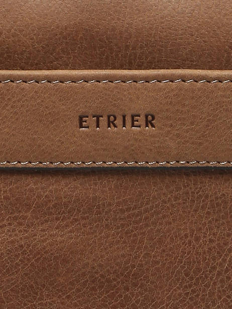 Leather Spider Crossbody Bag Etrier Brown spider ESPI704S other view 5